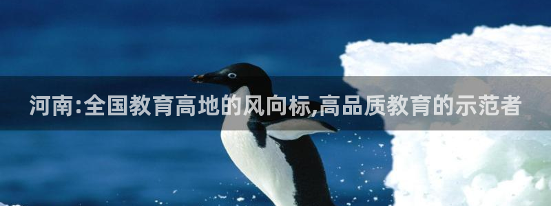 安信主管su金12手12指tq