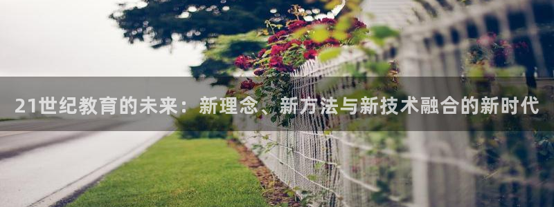 安信12级大众