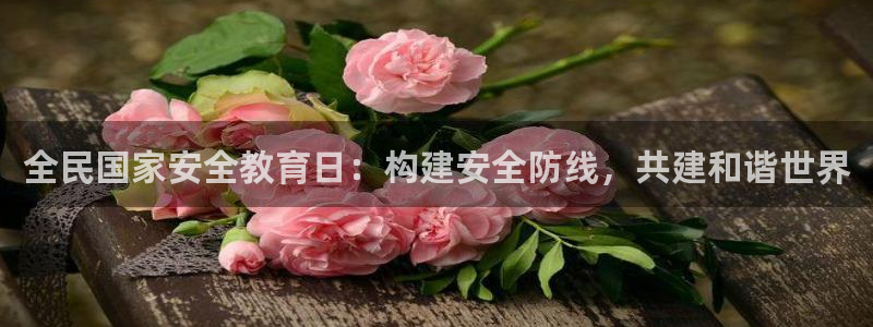 安信12软件介绍