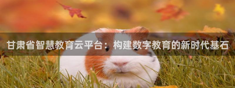 安信12娱乐平台