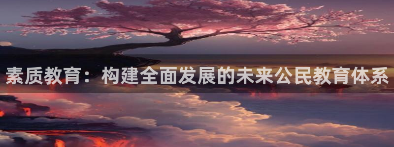安信312 12