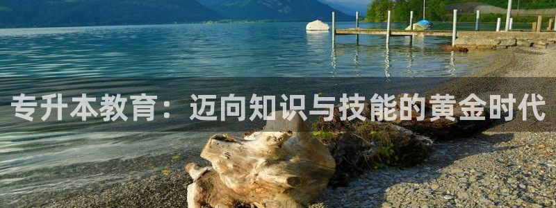 安信esp12