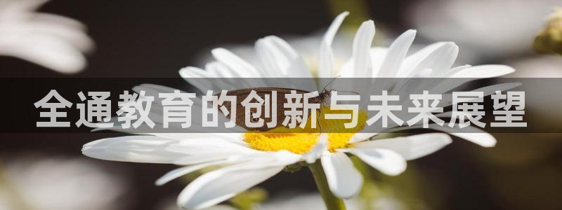 安立信T12测评