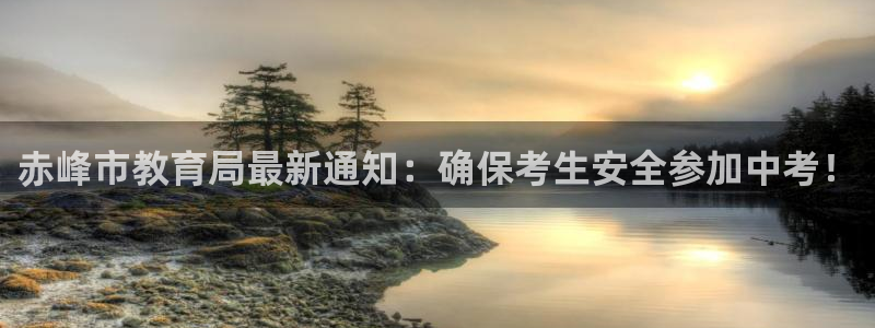 安信可f12